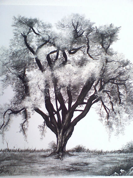 Arbol en carbon