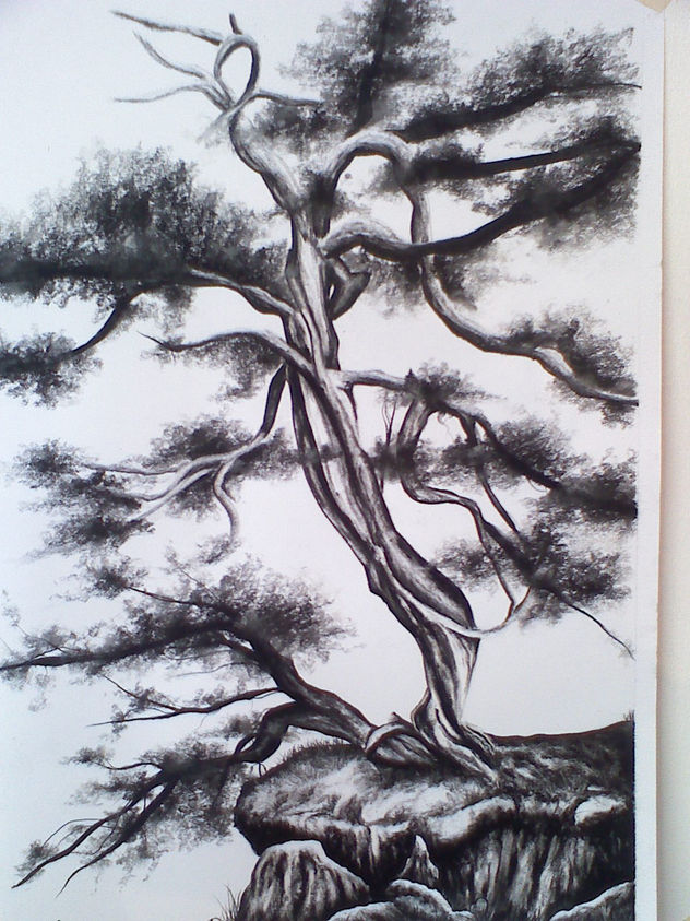 arbol