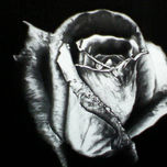 jose roberto thumbnail 1