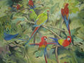 loros
