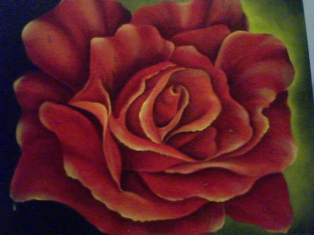 rosa a terciopelada