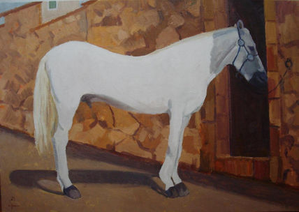 Caballo blanco