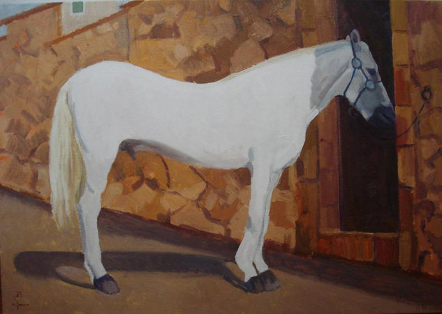 caballo blanco Oil Textile Animals