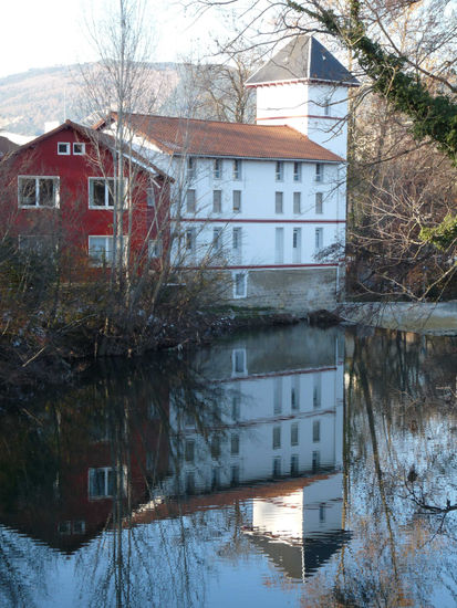 Reflejos Nature Color (Digital)