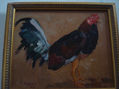 gallos