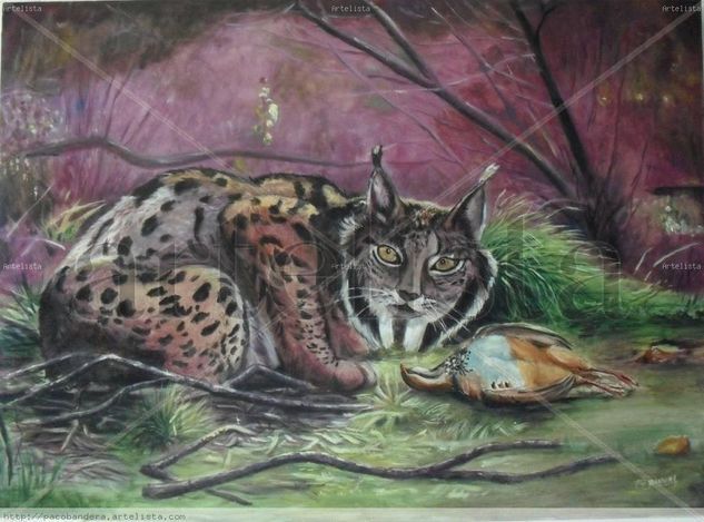 EL LINCE Óleo Lienzo Animales