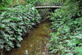 BOTANICOMALAGA