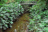 Botanicomalaga