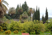 Botanicomalag