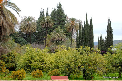 Botanicomalag