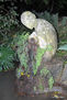 BOTANICOMALAGA
