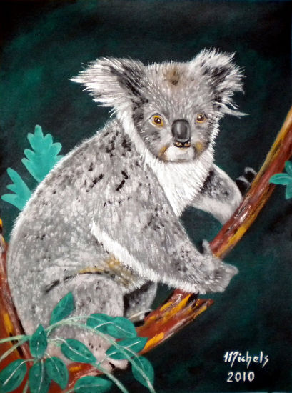 Koala Acrílico Lienzo Animales