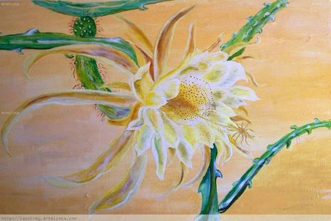 Cactus