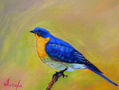 Easternbluebird