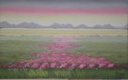 Campo