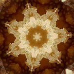 CUPULAS ORGANICAS thumbnail 2