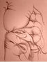 erotic 2