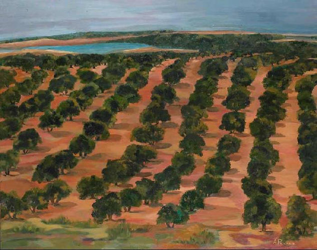 EL OLIVAR Oil Canvas