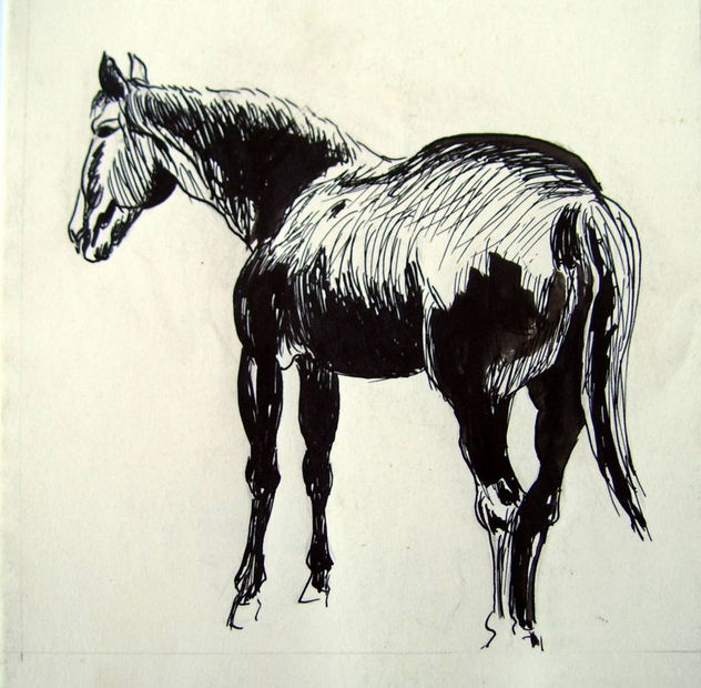 caballo