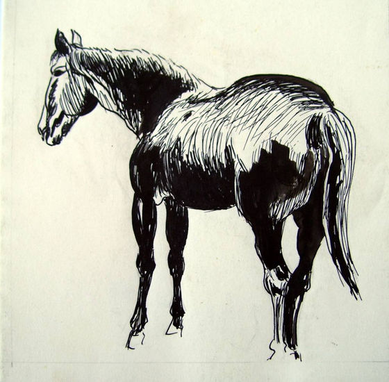 caballo Ink