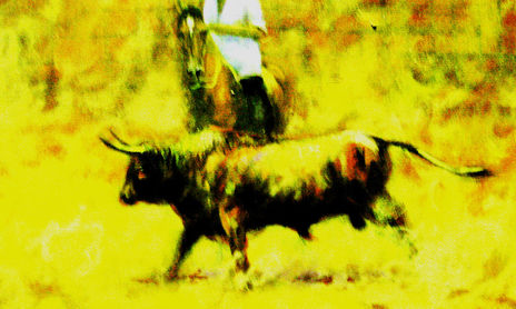 toros y caballos