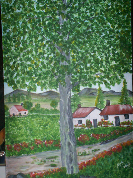 Campo