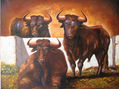 NUM. 6.287 - TOROS ESTABULADOS PARA CORRIDA COLORAO