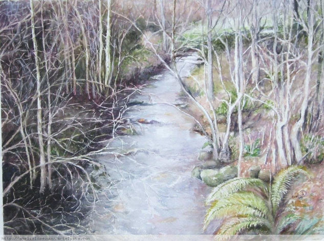 Riachuelo invernal Watercolour Paper Landscaping