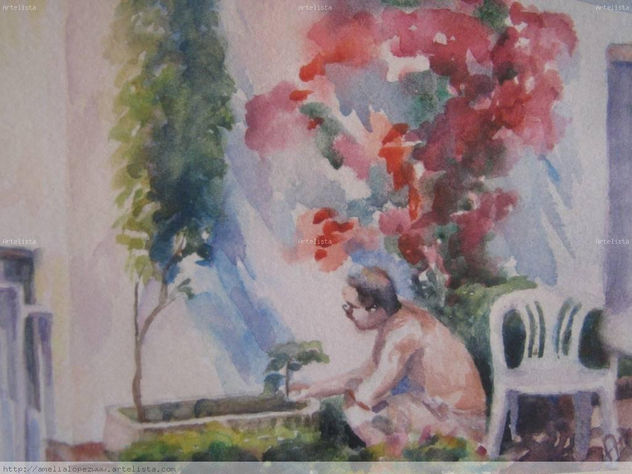 Verano
