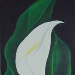 flores thumbnail 1