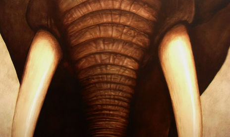 Pintura decorativa en casa particular. Santander.