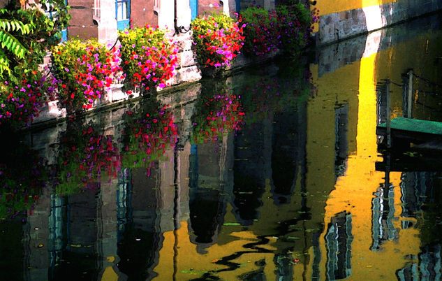 Reflejos de la Alsacia Travel Color (Manual)