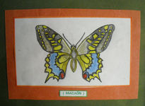 Macaón (mariposa)