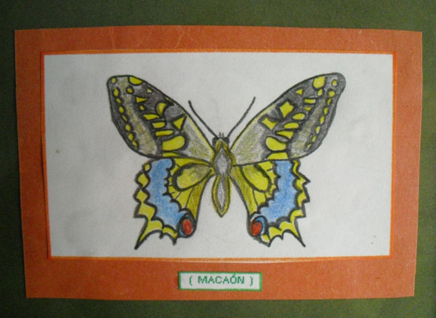 MACAÓN (MARIPOSA) 