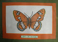 NINFA DEL BOSQUE (MARIPOSA)