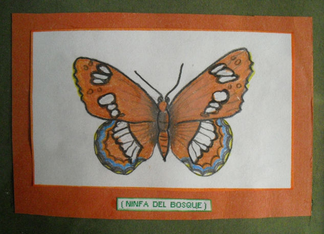 NINFA DEL BOSQUE (MARIPOSA) 