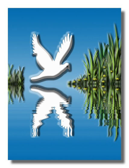 La Paloma reflejada