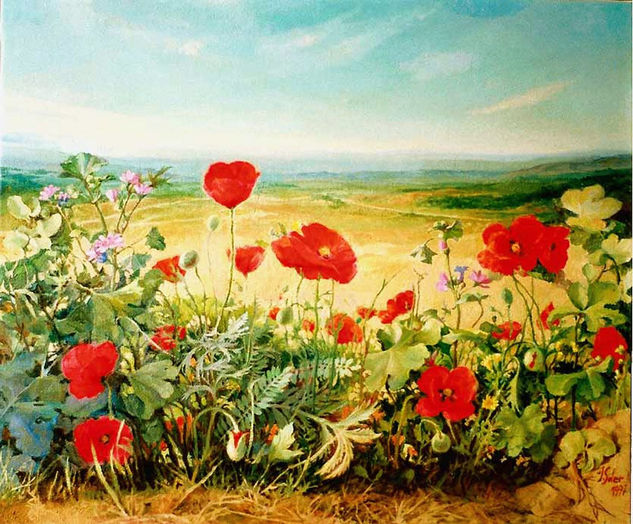 Amapolas en el campo Oil Canvas Floral Painting