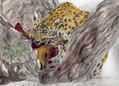 leopardo joven
