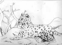 Leopardo