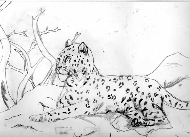 leopardo 