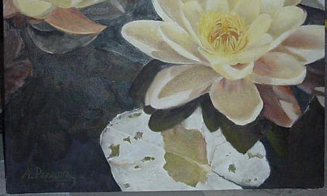 Flores