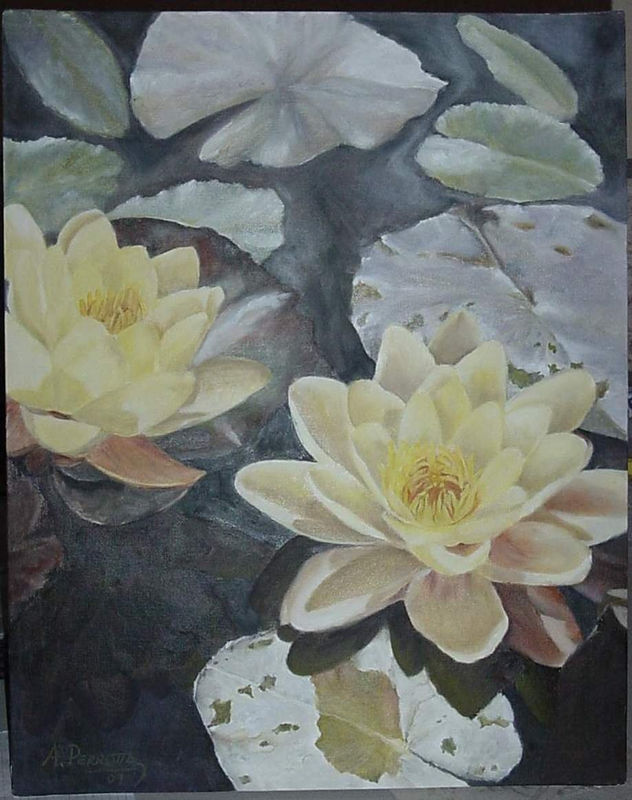 nenúfares
