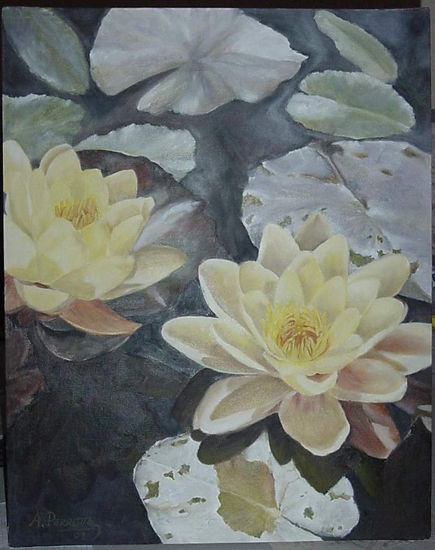 nenúfares Oil Canvas Floral Painting