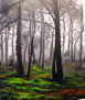 BOSQUE CON NIEBLA