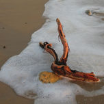 fotos artisticas thumbnail 1
