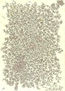 Disegno, autore : Pio Mastrogiacomo