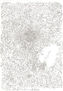 Disegno, autore : Pio Mastrogiacomo