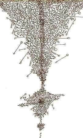 Disegno, autore :...