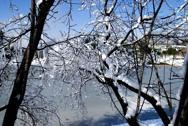 Nieve,hielo y naturaleza belleza del conjunto de imagen